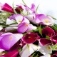 Fleur : Arum rose / Tige 91cm, artificielle