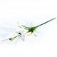 Fleur : Arum rose / Tige 91cm, artificielle