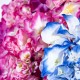 Fleur : Hortensia / Tige 70cm, artificielle