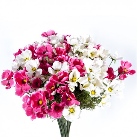 Fleur : cosomos / tiges de 10/12 fleurs