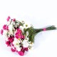 Fleur : cosomos / tiges de 10/12 fleurs