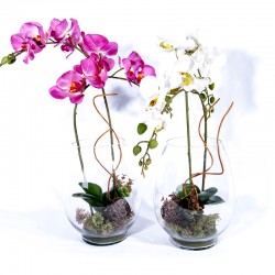 Composition : Vase verre + orchidées blanche ou fushia
