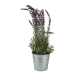 Plantes artificielles