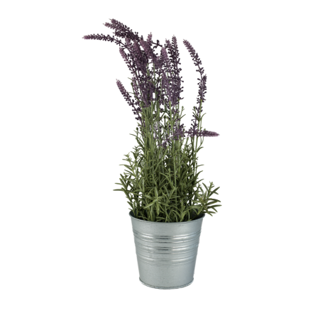 Plantes artificielles