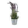 Plantes artificielles