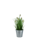 Plantes artificielles